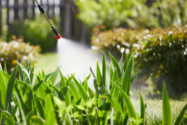 24/7 Emergency Fumigation Services experts in Marion, WI
