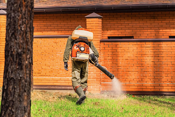 Top rated local Fumigation Services specialists in Marion, WI
